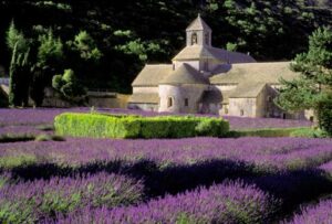 luberon-tour