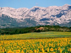 vue du luberon