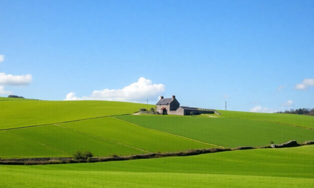 Une petite semaine en Bretagne